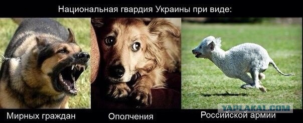 Завод АТО Украина