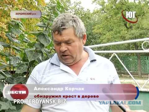 Подруга спалилась. На внимательность.