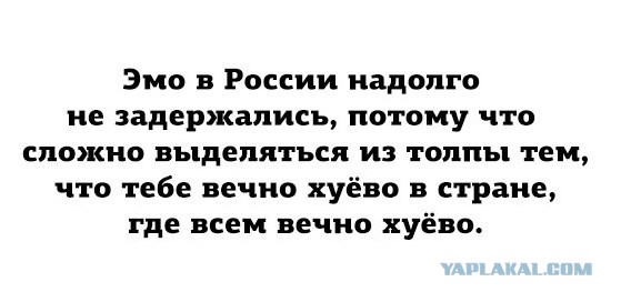 Картинки, текст и даже есть фигня