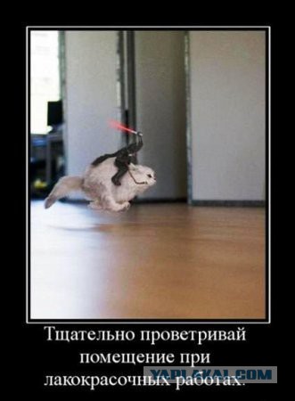 Немного картинок на воскресенье