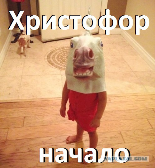 Люди - единственная форма жизни?