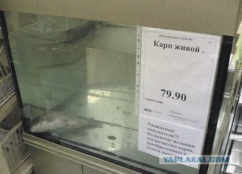 картинки на выходные
