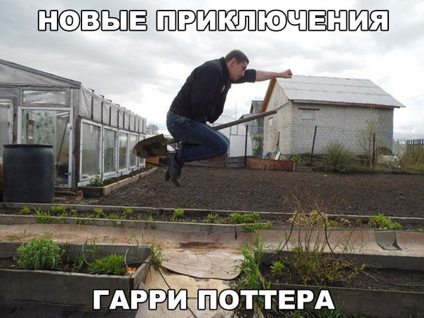 Картинки разные