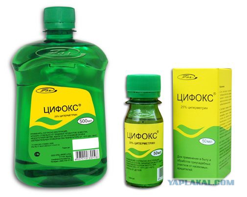 Клопики заели…