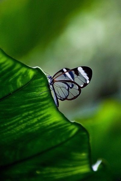 Интересные и веселые картинки