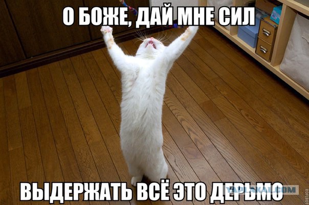 Триста семьдесят рублей