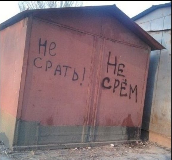 Прикольные картинки