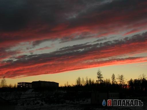 Облака белокрылые лашадке