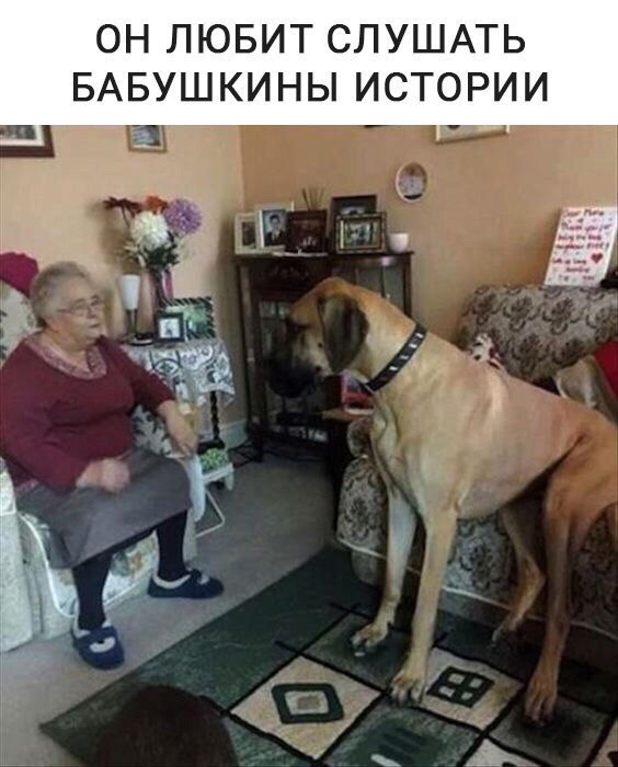 Подборка интересных и веселых фото