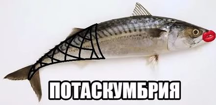 Шлакоблокунь и друзья