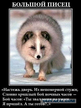 Мы фсе умрём, опять...