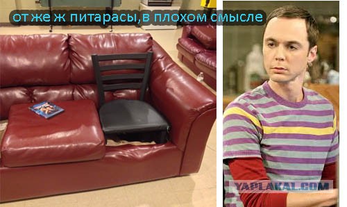 25 фотографий, на которых идиотизм граничит с гениальностью