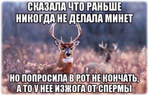 Приколы в стиле "регресс"