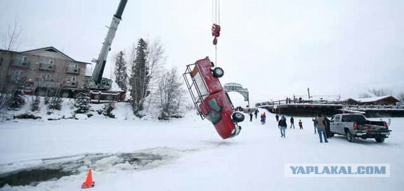 Новый вид вмерзшего "мамонта"