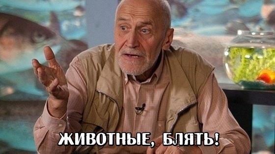Из-за акционных кружек с игрушками покупатели устроили давку в магазине