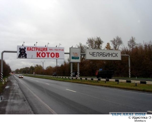 Сушите котов, пока батареи теплые
