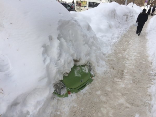 Подборка интересных и веселых картинок 05.02.19