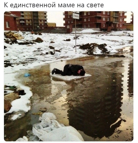 Весёлые и/или жизненные картинки