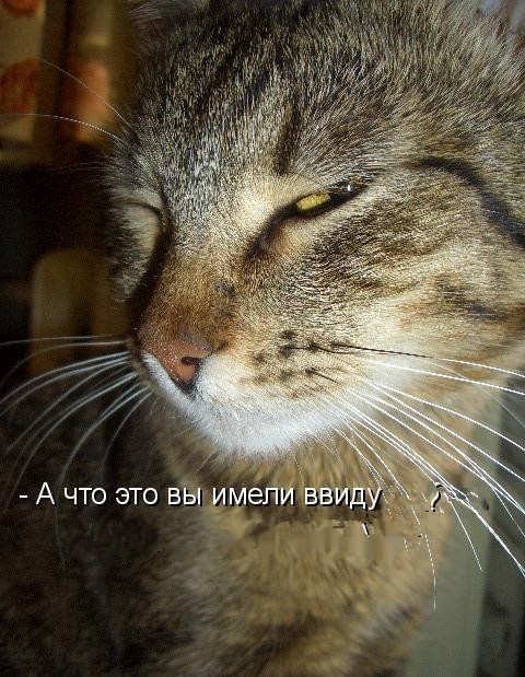 Сморщились и работаем, как козлы
