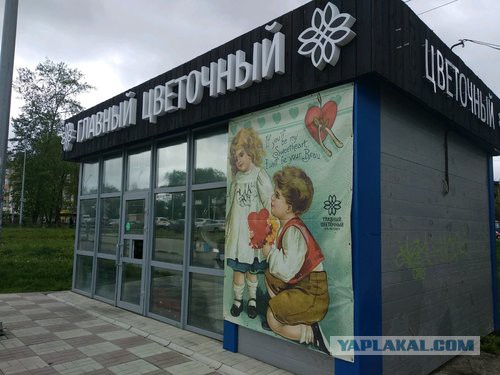Цветочный лох помирился с обидчиком