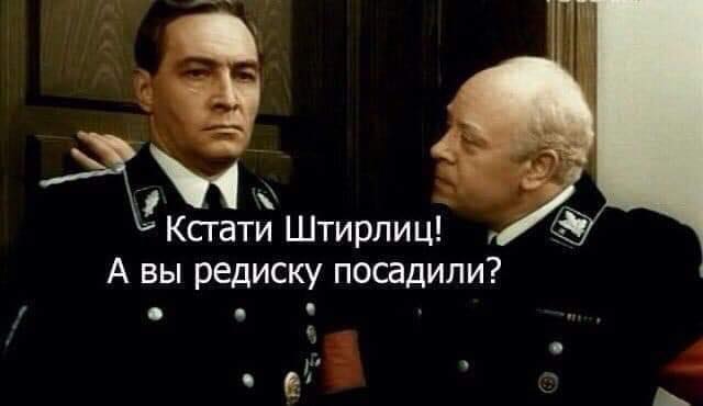 Пьющий без сильных последствий мужик удобен некоторым женам!