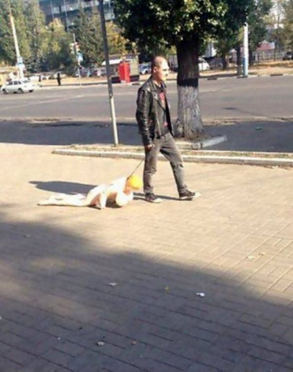 Скотсети и прочие интернеты 28.05.2019