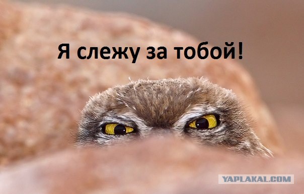 США не летали на луну. Очередное доказательство