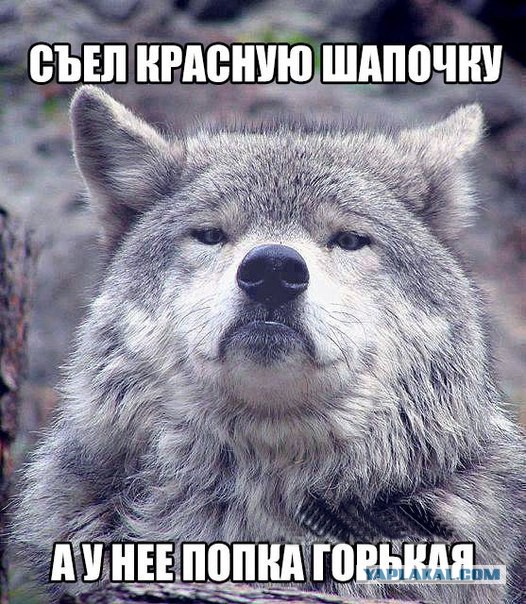Немного картинок с надписями и без - 18