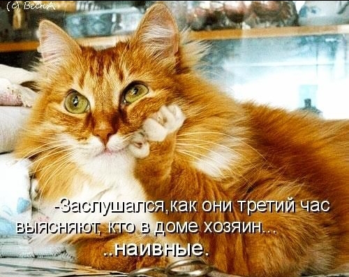 Картинки с надписями