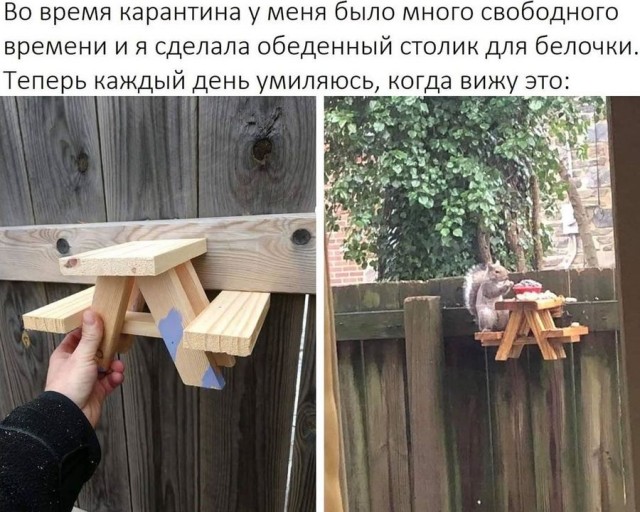 Бредзона 01.05.20