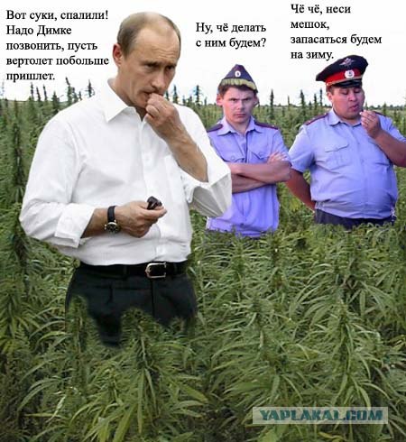 Фотожаба: Милиционеры