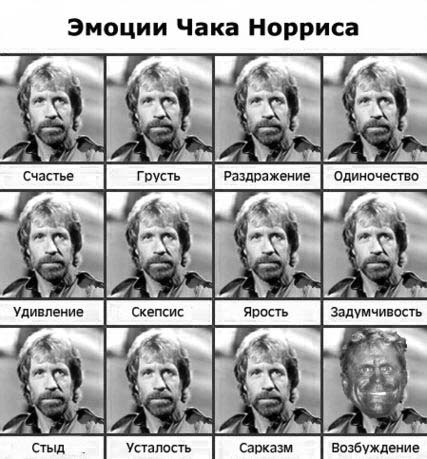 Накачанный зверь