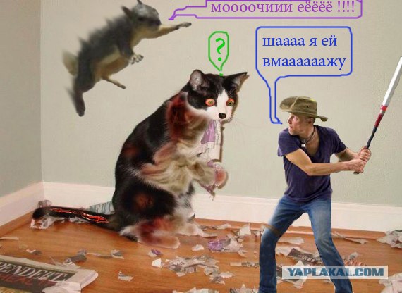кот Матроскин и счёт за интернет