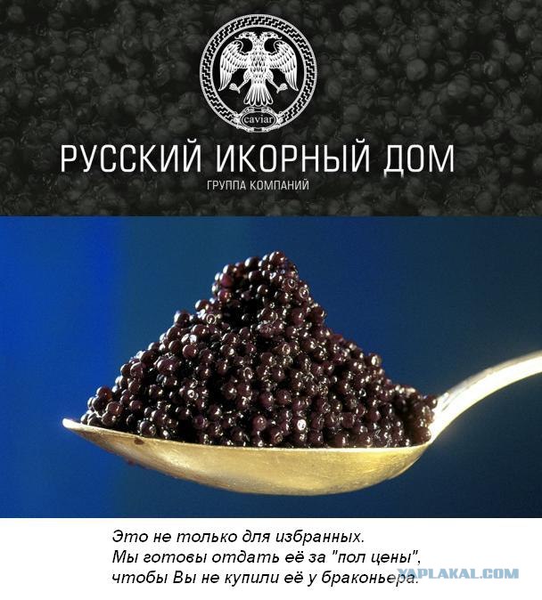 Выиграй 3кг черной икры!