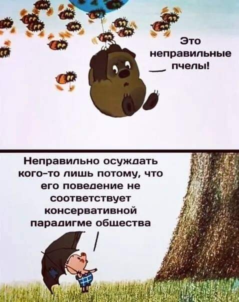 Бредзона 25.12.20