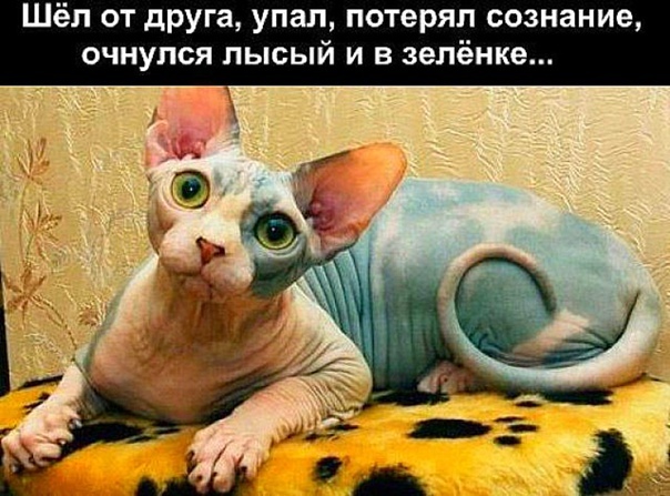 Так себе картинки 11.03.2021