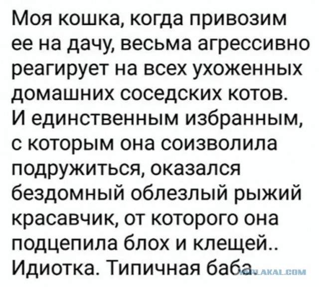 Картинки с надписями и всякие жизненные фразы