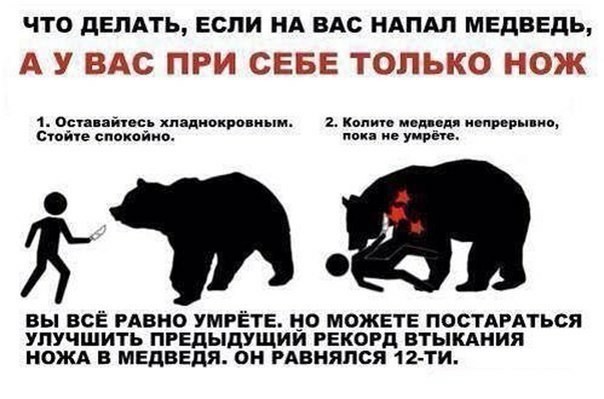 Часто слышу, что медведь не предупреждает перед нападением