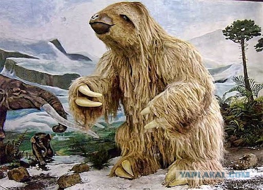 А что значит ваш ник?