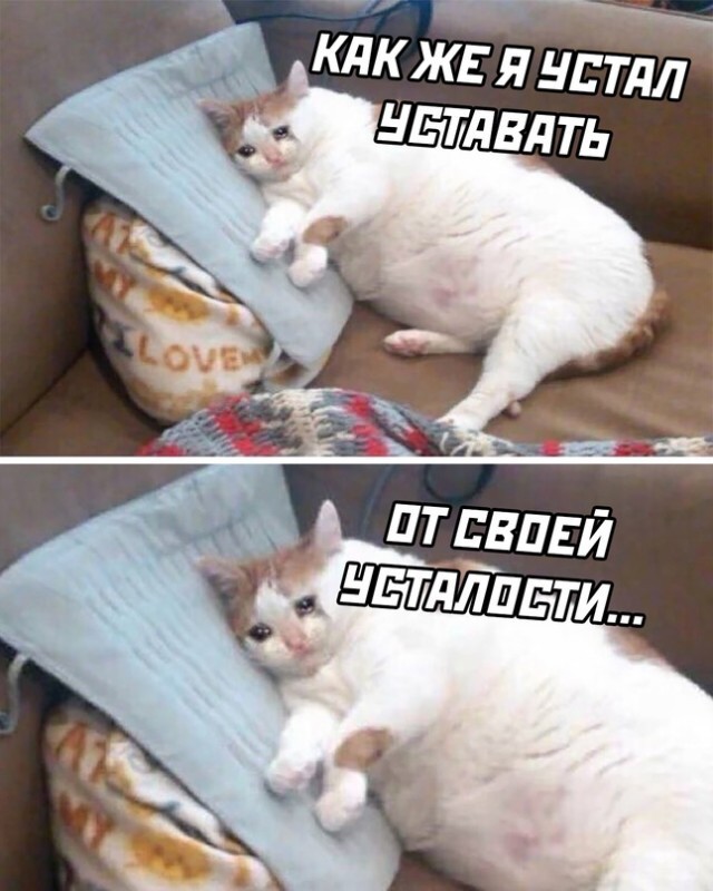 Всяко разные картинки 19.11.2021
