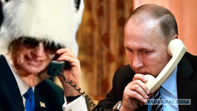 Жаба - Девушка с веслом