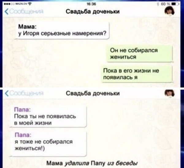 Так себе картинки 16.02.22