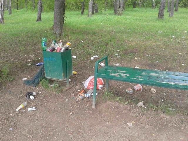 Свиноты
