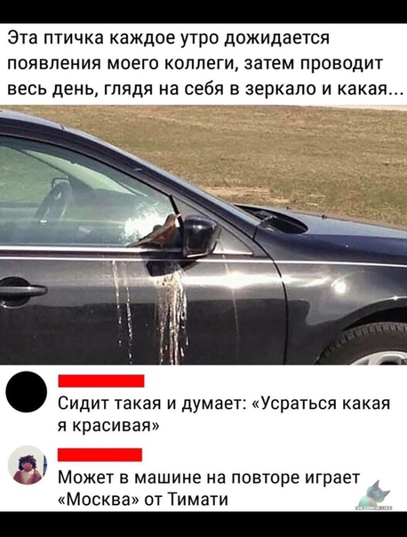 Немного картинок для настроения - 119