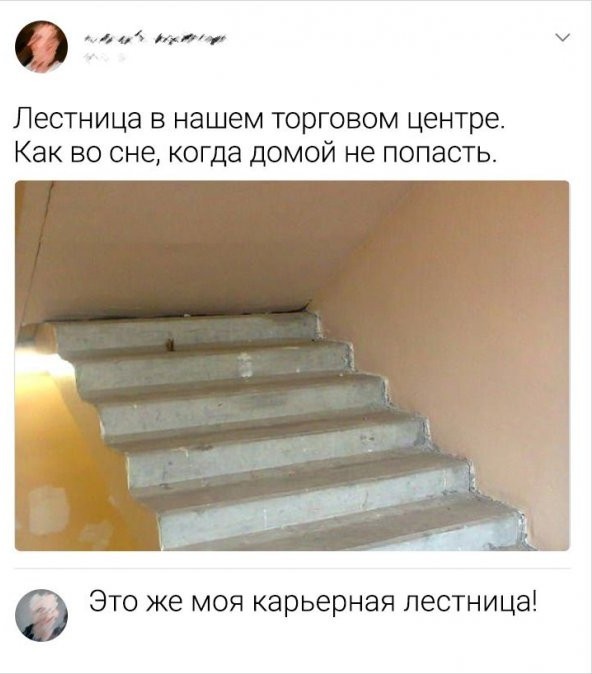 Картинки и мемы для настроения - 23