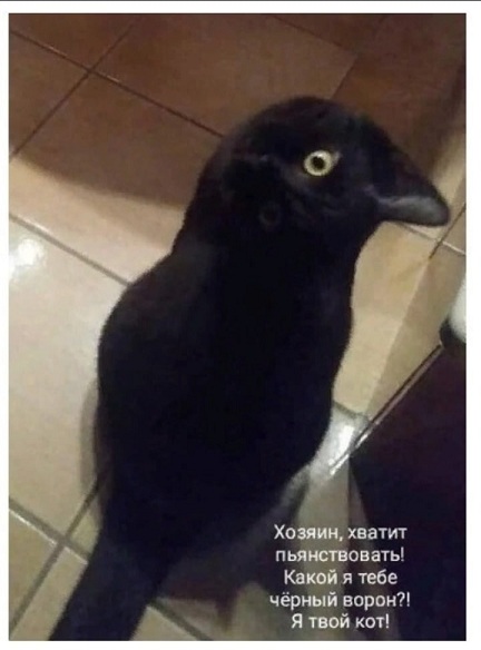 А что вообще в мире делается?