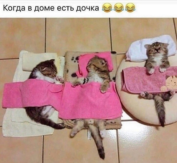 Так себе картинки 06.10.22