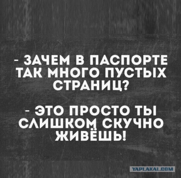 "И вот что теперь делать?"