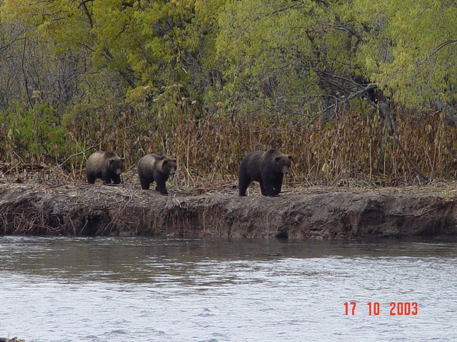 Петропавловск-Камчатский и его окрестности...