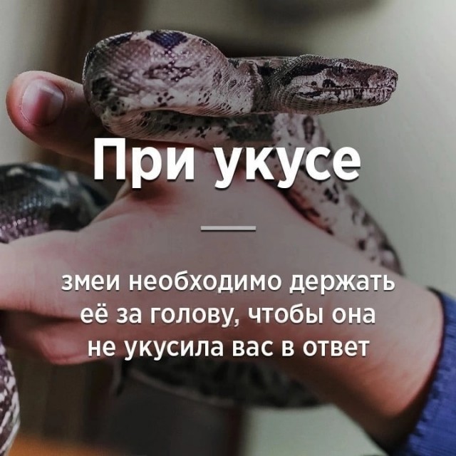 Народная меДИЧина 3017